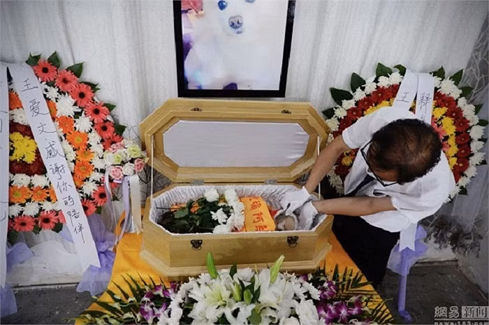 Thi thể con vật đã chết sẽ được đặt trong cỗ quan tài nhỏ, phủ đầy hoa.