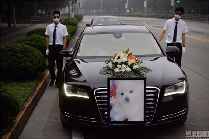 Họ sẽ tổ chức một đám tang trang nghiêm bao gồm cả phần tưởng niệm, hỏa táng và các nghi lễ khác cho thú cưng 'gia chủ'.