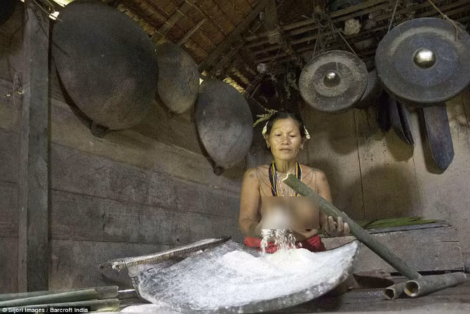 Một người phụ nữ trong bộ tộc lấy bột từ thân cây cọ để nấu nướng.