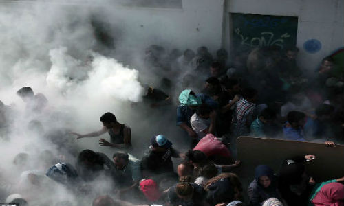 Cảnh tượng hỗn loạn diễn ra tại Kos. Ngày 10/8, cảnh sát Hy Lạp thông báo, hơn 156 nghìn di dân đã bị bắt giữ vì ở lại hay nhập cảnh trái phép đất nước này trong khoảng thời gian từ tháng một đến tháng 7/2015.