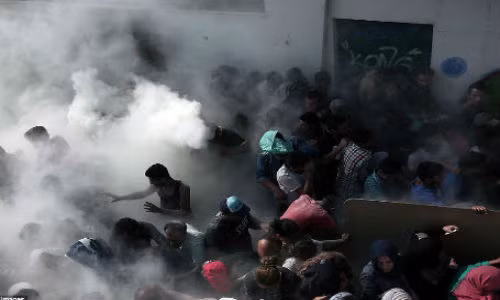 Cảnh tượng hỗn loạn diễn ra tại Kos. Ngày 10/8, cảnh sát Hy Lạp thông báo, hơn 156 nghìn di dân đã bị bắt giữ vì ở lại hay nhập cảnh trái phép đất nước này trong khoảng thời gian từ tháng một đến tháng 7/2015.