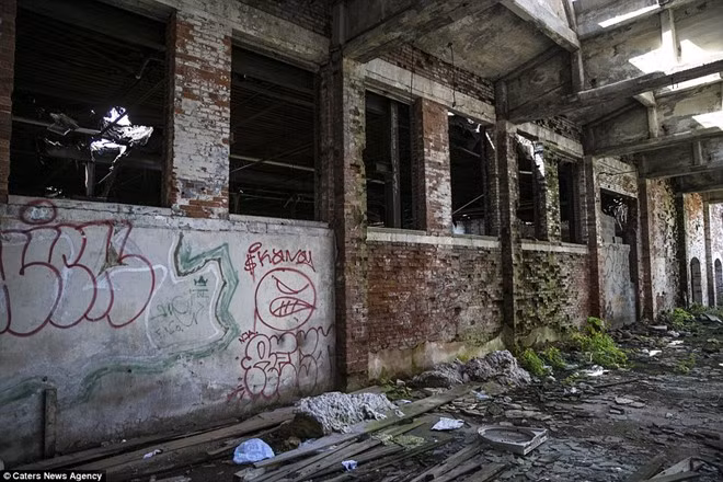 Vài tuần gần đây, thống kê cho thấy các vụ giết người đẫm máu diễn ra liên tục tại Camden. Hôm 23/8, người ta tìm thấy Kashif Carmickel, 25 tuổi, nằm trên đường vì trúng đạn. Anh tử vong vì vết thương nặng. Hai ngày trước đó, hai anh em Markice và Maurice Harper, 26 tuổi, là nạn nhân của vụ án mạng. Người ta phát hiện thi thể họ trong xe của một người qua đường, theo ABC. 