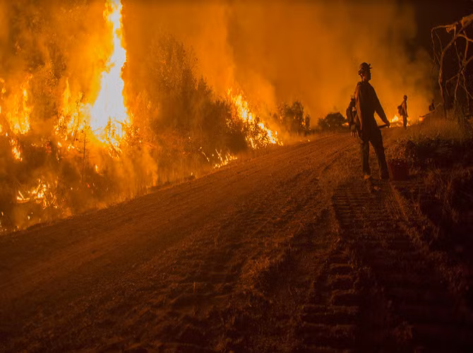 Cháy rừng ở Hyampon, California, ngày 13/7, trong những ngày nắng nóng.