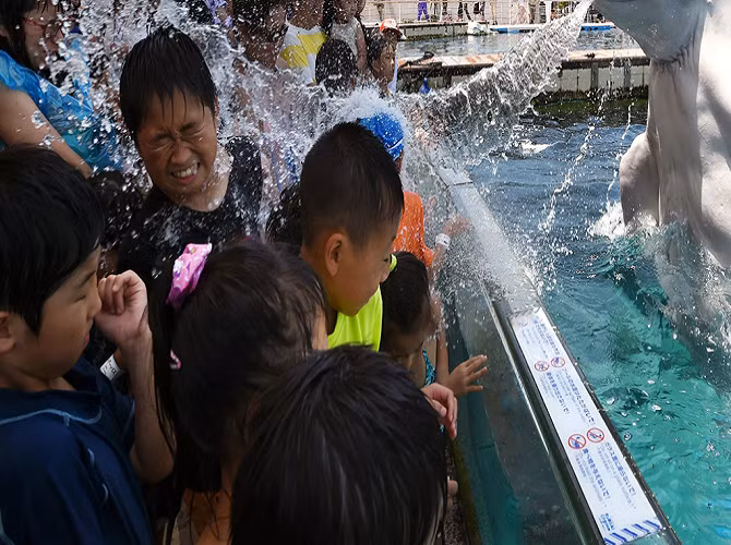 Du khách ở khu công viên Thiên đường biển Yokohama Hakkeijima ở Yokohama, ngoại ô Tokyo, ngày 20/7/2015, để tìm cách tránh nắng mùa hè. Nhiệt độ ở thủ đô Tokyo, Nhật Bản đã tăng lên 34 độ C vào ngày 20/7, một ngày sau khi mùa mưa chấm dứt.