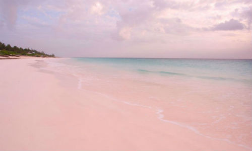 Bãi biển Zlatni Rat, Brac, Croatia với bãi cát hồng tạo khung cảnh thơ mộng.