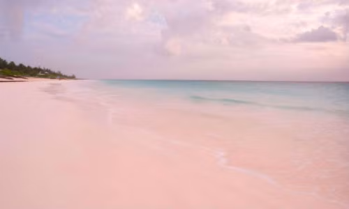 Bãi biển Zlatni Rat, Brac, Croatia với bãi cát hồng tạo khung cảnh thơ mộng.