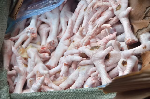 Hơn 3 tấn chân gà không rõ nguồn gốc.