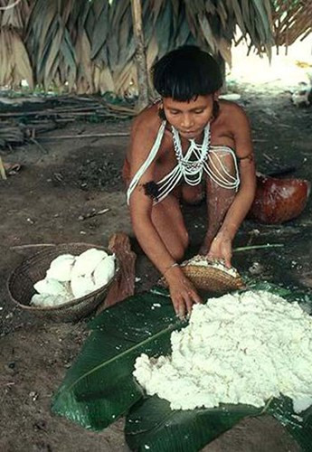 Ăn tro cốt người chết. Những thành viên trong bộ tộc thổ dân da đỏ bản địa ở vùng rừng rậm Amazon nằm ở biên giới giữa Venezuela và Brasil có tập tục kỳ lạ đó là dùng tro cốt người chết ra chế biến thành thức ăn hoặc làm gia vị cho nhiều món, với món chính là súp chuối.