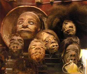 Bộ tộc Jivaro sống tập trung ở lưu vực sông Amazon luôn ở trong tư thế sẵn sàng chiến đấu chống lại kẻ thù do phải đối diện với những mối nguy hiểm của các bộ tộc láng giềng hay kẻ thù xâm phạm lãnh thổ. Những thành viên bộ tộc này nổi tiếng với việc chặt đầu kẻ đem về trưng bày trong nhà cũng như làm thành huy chương hay bán cho du khách.