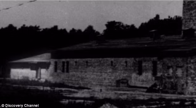 Cau chuyen kinh hoang cua nu tu nhan trai tap trung Auschwitz-Hinh-2