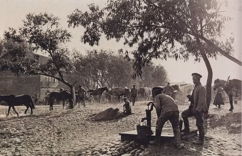 Chính vì vậy, đàn ngựa chiến được chăm sóc chu đáo khi chúng đóng vai trò khá quan trọng trong cuộc chiến tranh.