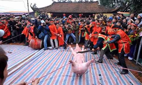 Dan Nem Thuong len tieng ve le hoi chem lon