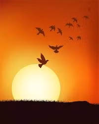 Người ta phát hiện bộ xương đại bàng 13.000 năm tuổi ở Pháp được cho dùng để theo dõi các giai đoạn của Mặt trăng.