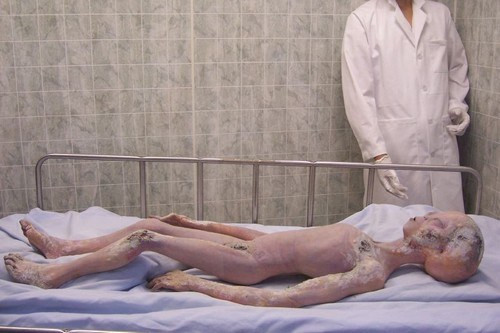 Đặc biệt, Bảo tàng UFO còn trưng bày mô hình người ngoài hành tinh, đã được sử dụng trong bộ phim "Rosewell: Bí mật UFO".