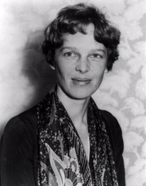 Với phát hiện mang tính đột phá này, giới chuyên gia đã bác bỏ giả thuyết trước đó cho rằng máy bay của nữ phi công người Mỹ gặp nạn ở Thái Bình Dương. Các chuyên gia hy vọng, đến mùa Hè năm 2015, bí mật về chiếc máy bay cùng nữ phi công Amelia Earhart sẽ được giải quyết.