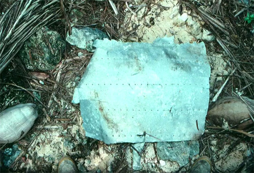 2. Máy bay của Amelia Earhart. Chiếc máy bay cùng nữ phi công huyền thoại Amelia Earhart đã mất tích đầy bí ẩn khi thực hiện chuyến bay vòng quanh thế giới vào ngày 2/7/1937. Vào ngày 28/10/2014, giới chuyên gia khẳng định đã tìm thấy mảnh vỡ chiếc máy bay của nữ phi công huyền thoại Amelia Earhart. Mảnh vỡ được phát hiện tại đảo Nikumaroro - hòn đảo không người ở nằm giữa Đại Tây Dương.