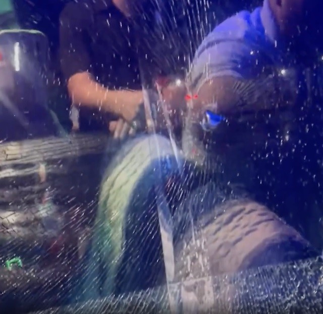 Nhieu xe khach bi nem vo kinh tren cao toc TP HCM-Hinh-2