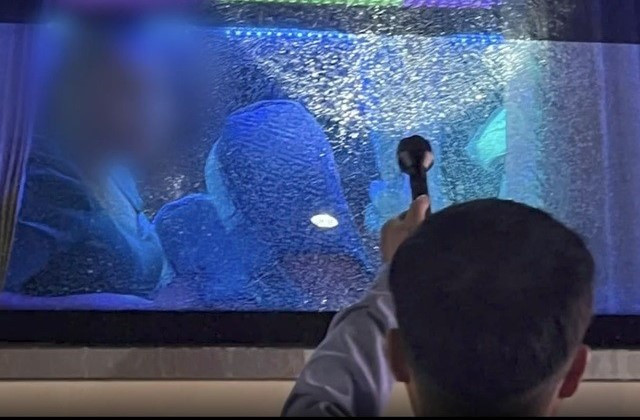 Nhieu xe khach bi nem vo kinh tren cao toc TP HCM