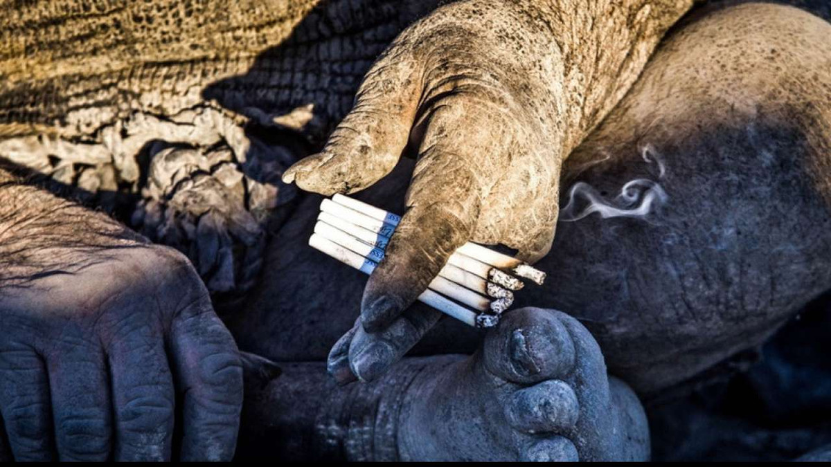 Theo truyền thông địa phương, ông Amou đã sống một mình sau khi trải qua một vài thất bại trong chuyện tình cảm. Không có nhà, ông thường ở trong những ống cống hoặc nhà hoang.