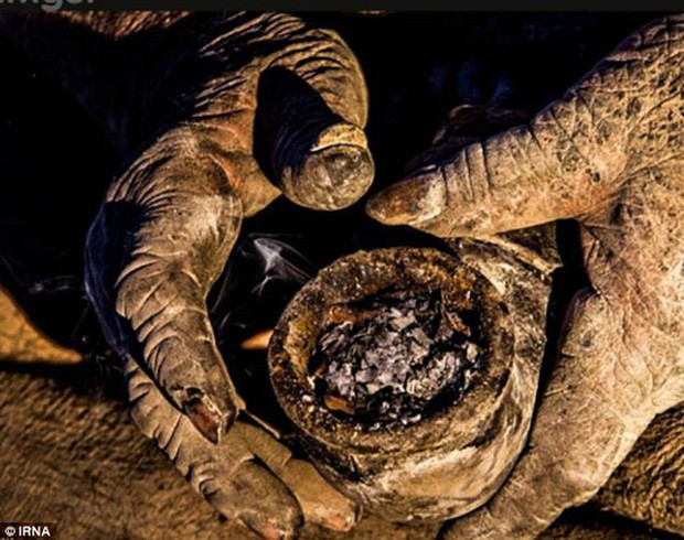 Amou Haji có một “báu vật” duy nhất là chiếc tẩu thuốc. Nghiện hút nhưng không có tiền mua thuốc lá, Amou nhồi vào cái tẩu phân động vật khô, châm lửa, và hút.