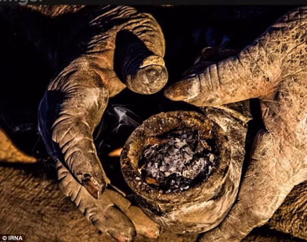 Amou Haji có một “báu vật” duy nhất là chiếc tẩu thuốc. Nghiện hút nhưng không có tiền mua thuốc lá, Amou nhồi vào cái tẩu phân động vật khô, châm lửa, và hút.