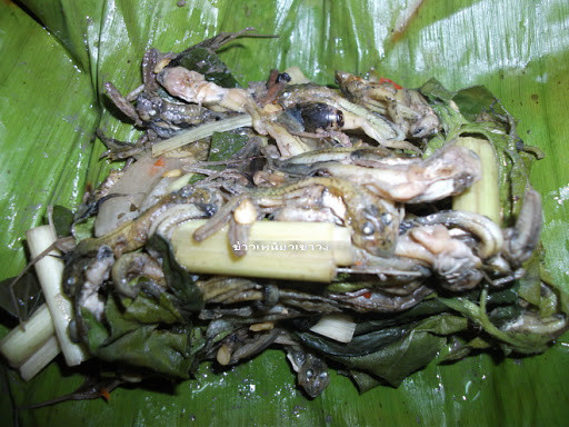 Muak Huak có nguồn gốc từ Isan, miền đông bắc Thái Lan, nhưng bây giờ nó được bày bán ở rất nhiều nơi.