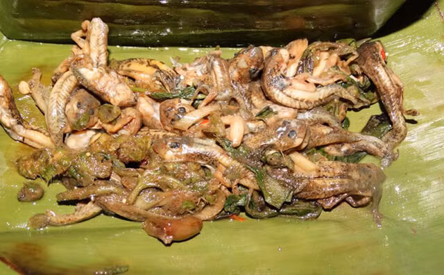 Thông thường, món nòng nọc này sẽ được dùng kèm với nước mắm lên men có tên là Pla Raa.