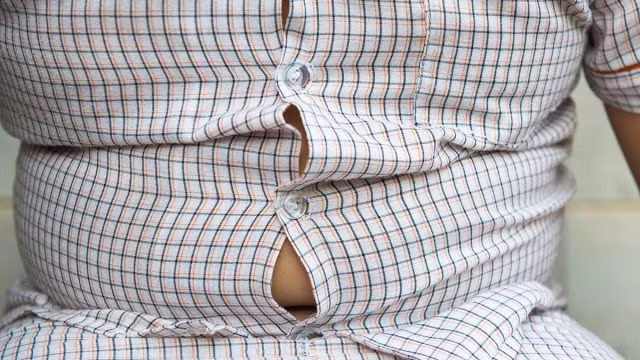 Mỡ nội tạng là loại mỡ nằm trong khoang bụng, nó bao quanh các cơ quan quan trọng của chúng ta. Mỡ nội tạng quá cao có thể là nguyên nhân làm tăng lượng mỡ trong máu, dẫn đến nguy cơ mắc các bệnh mỡ máu, tiểu đường, bệnh tim...Chúng ta nên tuân thủ một chế độ ăn uống cân bằng để giảm mỡ nội tạng hiệu quả. (Ảnh minh họa)