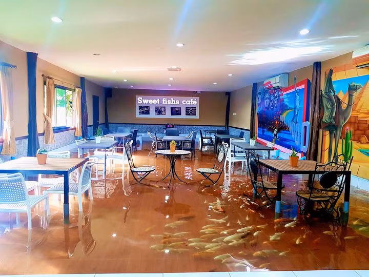 Quan ca phe vua dung do uong vua ngam ca Koi boi loi duoi chan-Hinh-2