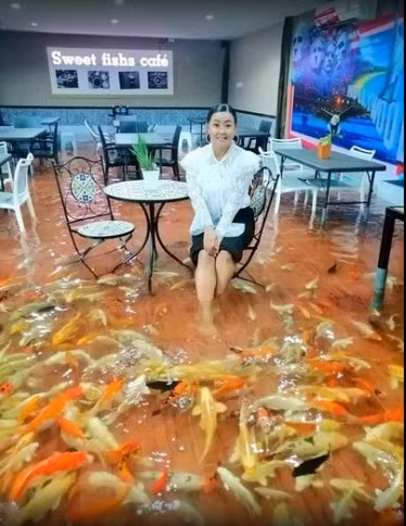 Quan ca phe vua dung do uong vua ngam ca Koi boi loi duoi chan-Hinh-3