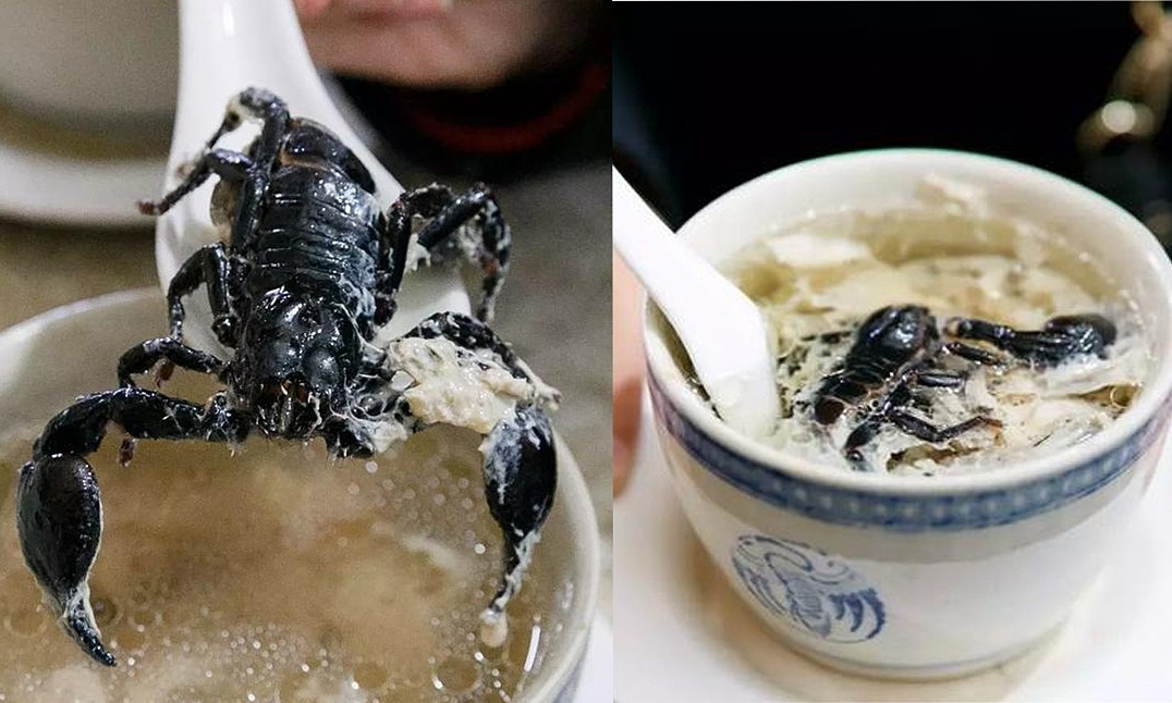 Ở miền nam Trung Quốc, người dân rất ưa chuộng món bọ cạp bởi họ tin đây là một vị thuốc quý. (Ảnh minh họa: IT).
