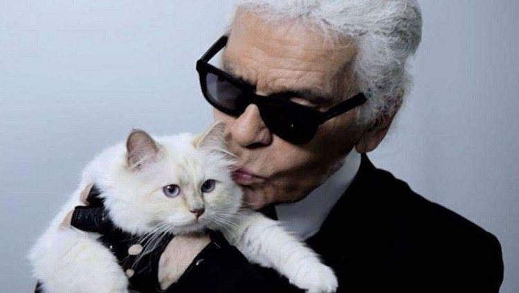 Mèo Choupette: 3,5 triệu USD. Con mèo 6 tuổi Choupette nổi tiếng không kém chủ nhân nó là nhà thiết kế Karl Lagerfeld của hãng Chanel. Nó có tài khoản mạng xã hội riêng, xuất hiện trong nhiều bộ ảnh của Chanel và thậm chí có dòng sản phẩm thời trang riêng như áo len thiết kế, khăn len, túi xách và đồ trang sức. Choupette ăn cùng bàn với Karl, sở hữu những đồ chơi công nghiệp như iPad và có hai người hầu phục vụ. (Ảnh: Net a Porter TV)