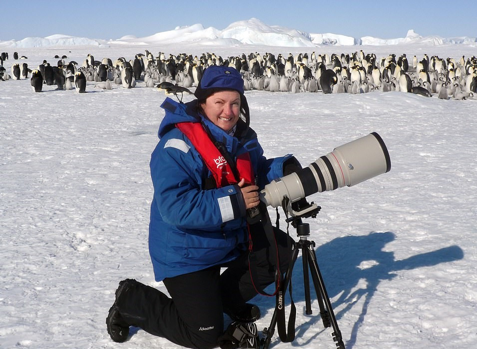 Nam Cực được coi là vùng đất dành riêng cho những đàn cánh cụt. Loài động vật hoang dã với vẻ ngoài đáng yêu này luôn là nguồn cảm hứng của mọi nhà thám hiểm và các nhiếp ảnh gia.