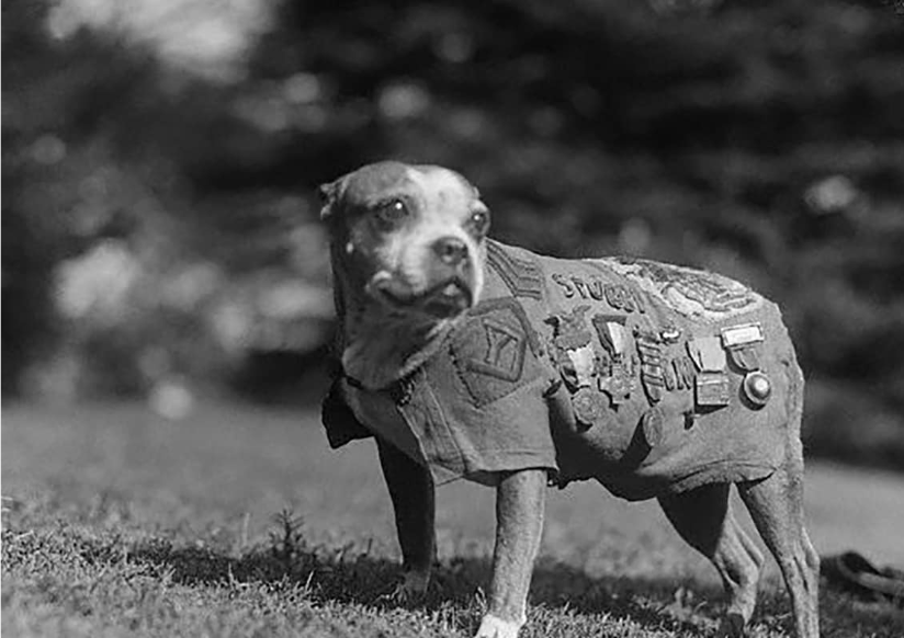 Anh: Nhung chien khuyen anh hung trong The chien I