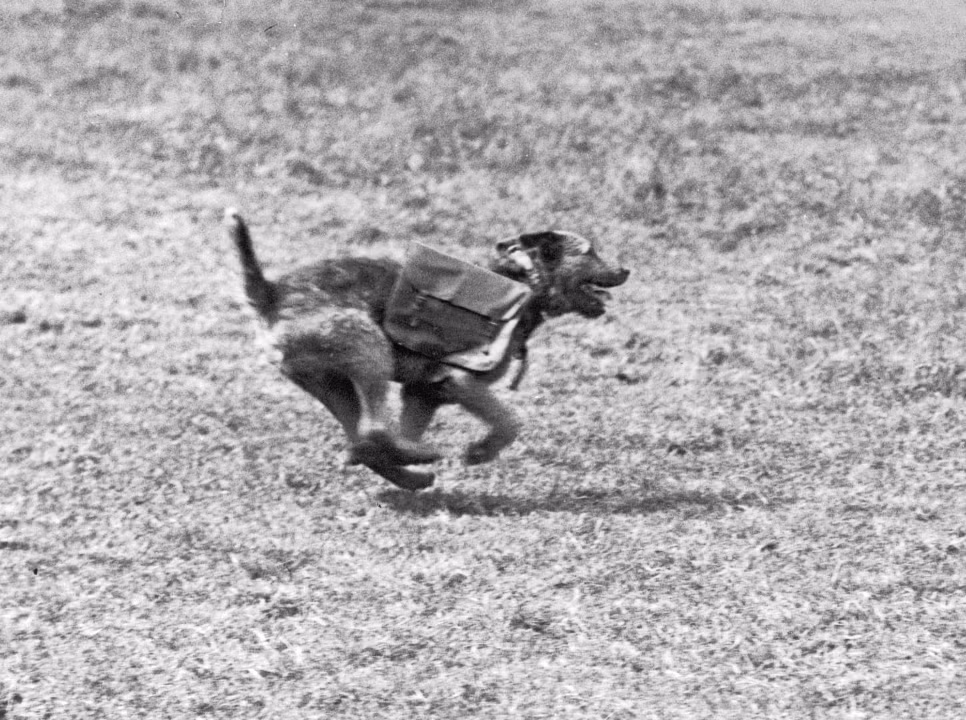 Anh: Nhung chien khuyen anh hung trong The chien I-Hinh-6