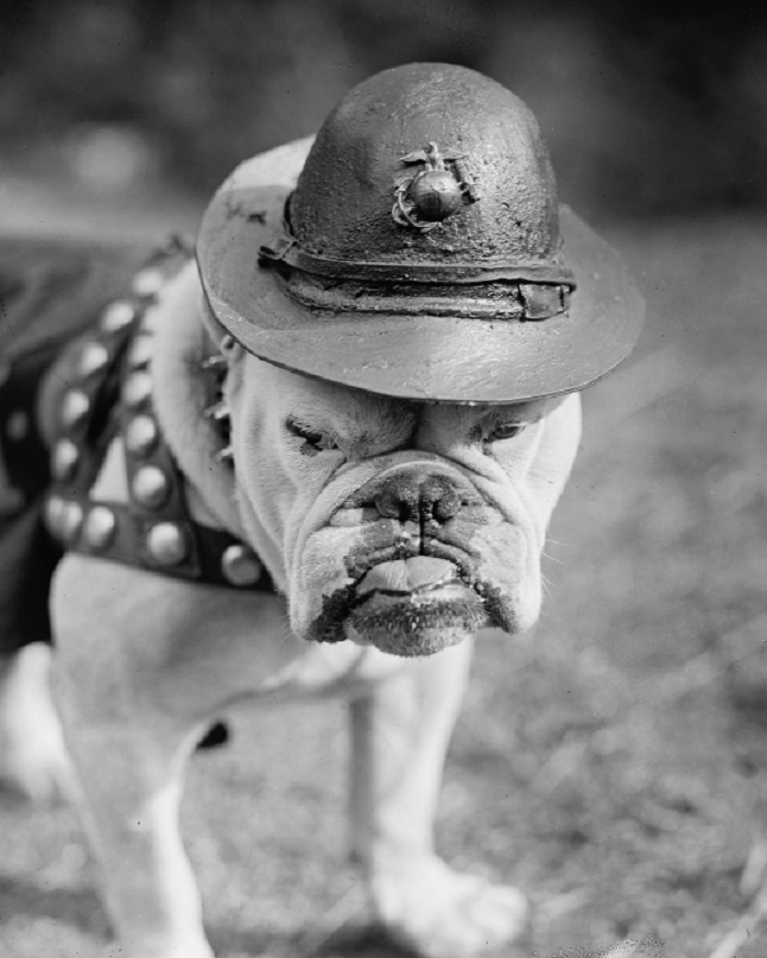 Anh: Nhung chien khuyen anh hung trong The chien I-Hinh-3