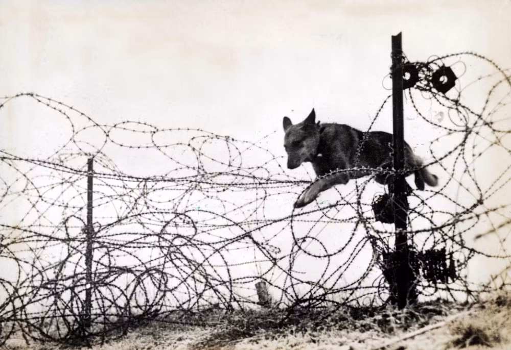 Anh: Nhung chien khuyen anh hung trong The chien I-Hinh-9