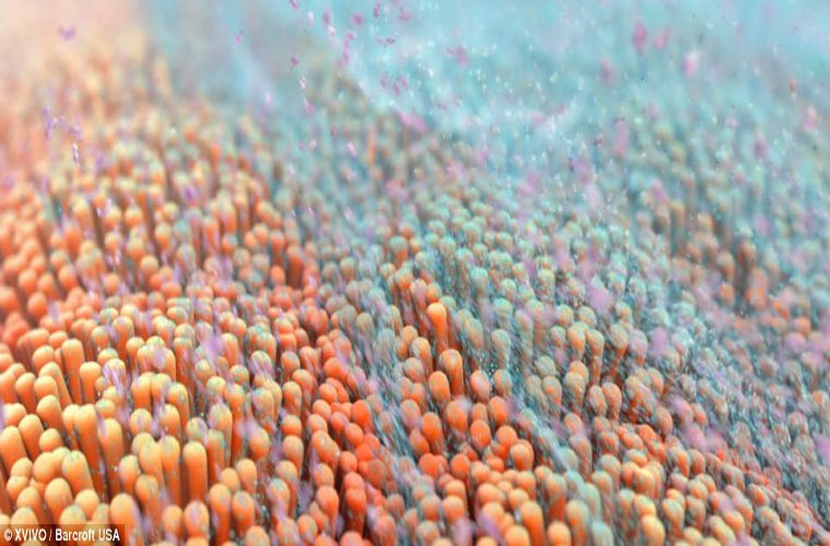 Hình ảnh của quá trình tổng hợp TGF-beta, một chuỗi axit amin được tìm thấy trong cơ thể người và sữa.