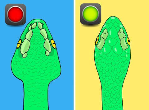 Bi kip nhan dien ran co doc hay khong tuc thi-Hinh-3