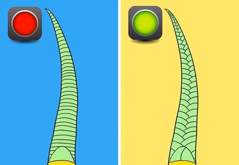 Bí kíp nhận diện rắn có độc hay không tức thì - Hình 4 Bi kip nhan dien ran co doc hay khong tuc thi-Hinh-4