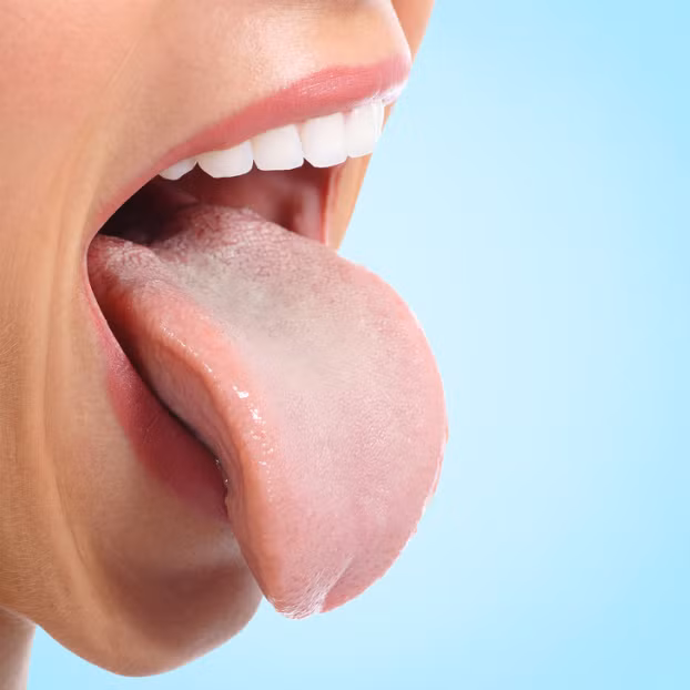 7. Cơ thể bạn là một cỗ máy sản xuất dịch nhầy Trung bình, cơ thể 1 người lớn sản xuất 1,5 lít dịch nhầy mỗi ngày. Chúng ta đã nuốt hết phần lớn số đó mà không chú ý đến nó. Ngoài ra, một cơ thể cũng sản xuất một lít nước bọt, 3 lít dịch dạ dày, 3,5 lít dịch đường ruột và một lít mật.