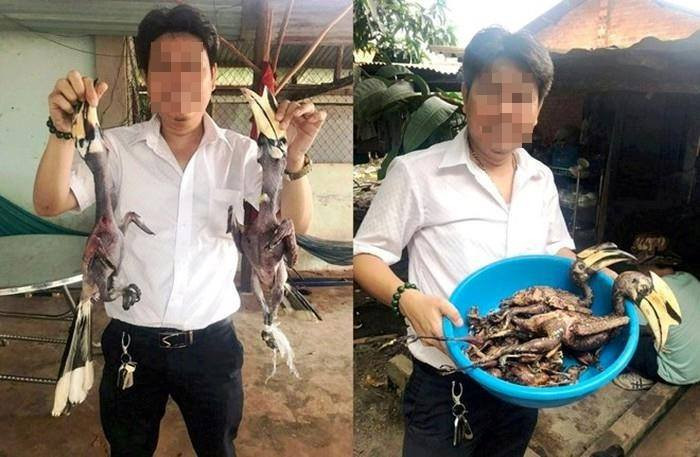 Mới đây, việc một giám đốc 1 doanh nghiệp giết thịt chim hoang dã rồi đem khoe lên mạng xã hội Facebook khiến cộng đồng mạng phẫn nộ. Được biết, đó là Cao cát, cùng họ với Hồng hoàng (Phượng hoàng đất).