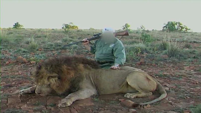 Su that bang hoang sau anh du khach au yem su tu Nam Phi-Hinh-3