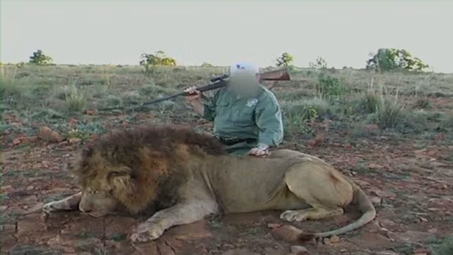 Su that bang hoang sau anh du khach au yem su tu Nam Phi-Hinh-3