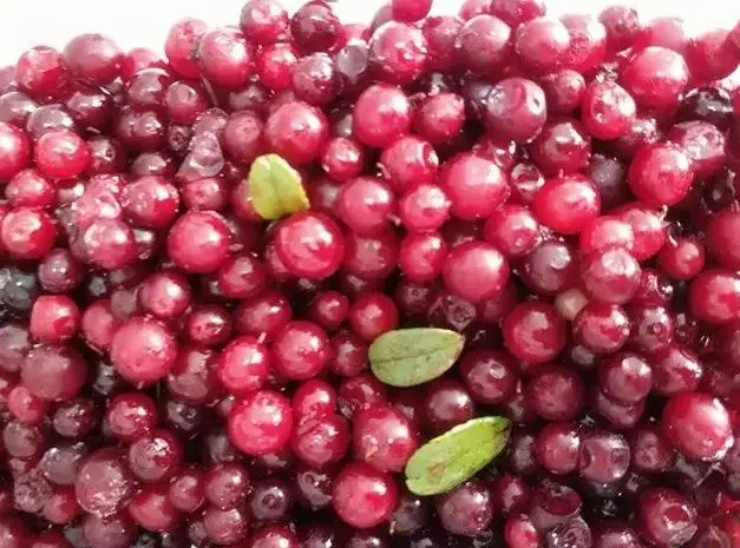 Loại quả lạ ở Trung Quốc về Việt Nam giá tiền triệu/kg - Hình 2 Loai qua la o Trung Quoc ve Viet Nam gia tien trieu/kg-Hinh-2