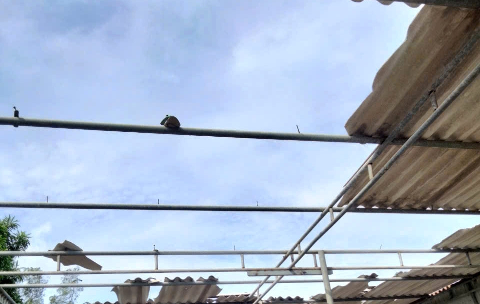 Hà Tĩnh: Lốc xoáy khiến nhà dân bị tốc mái, cây xanh gãy đổ Ha Tinh: Loc xoay khien nha dan bi toc mai, cay xanh gay do