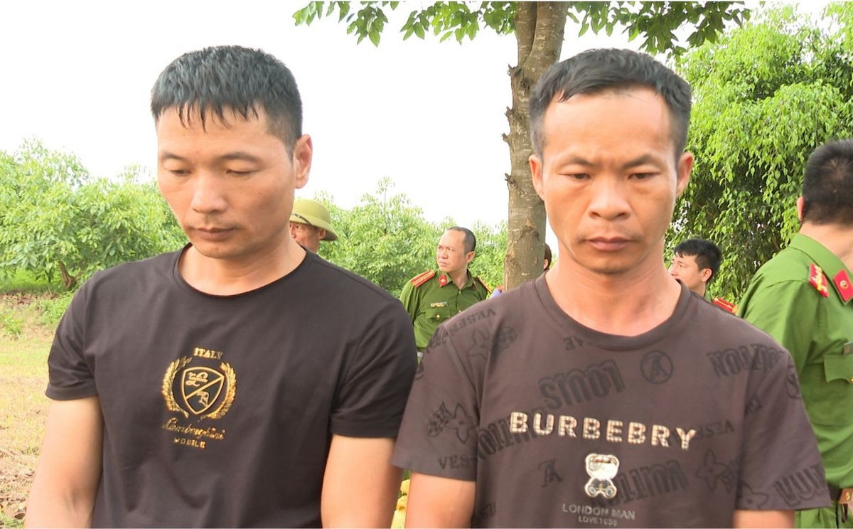 Lời khai của hai đối tượng tìm cổ vật lăng mộ vua Lê Loi khai cua hai doi tuong tim co vat lang mo vua Le