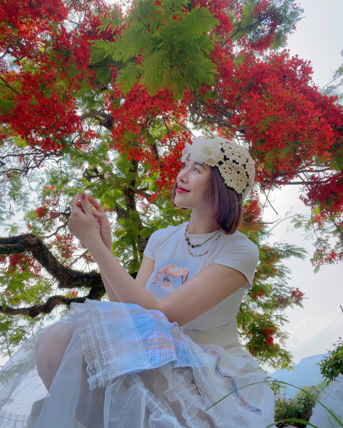 Hướng tới tháng 5 đầy hào hùng với chiến dịch Điện Biên Phủ “lừng lẫy năm châu, chấn động địa cầu” cách đây 71 năm, mới đây Tiktoker Việt Phương Thoa đã có mặt ở đồi A1 - chứng tích của lịch sử và chụp ảnh với những cây phượng rực rỡ nơi đây.