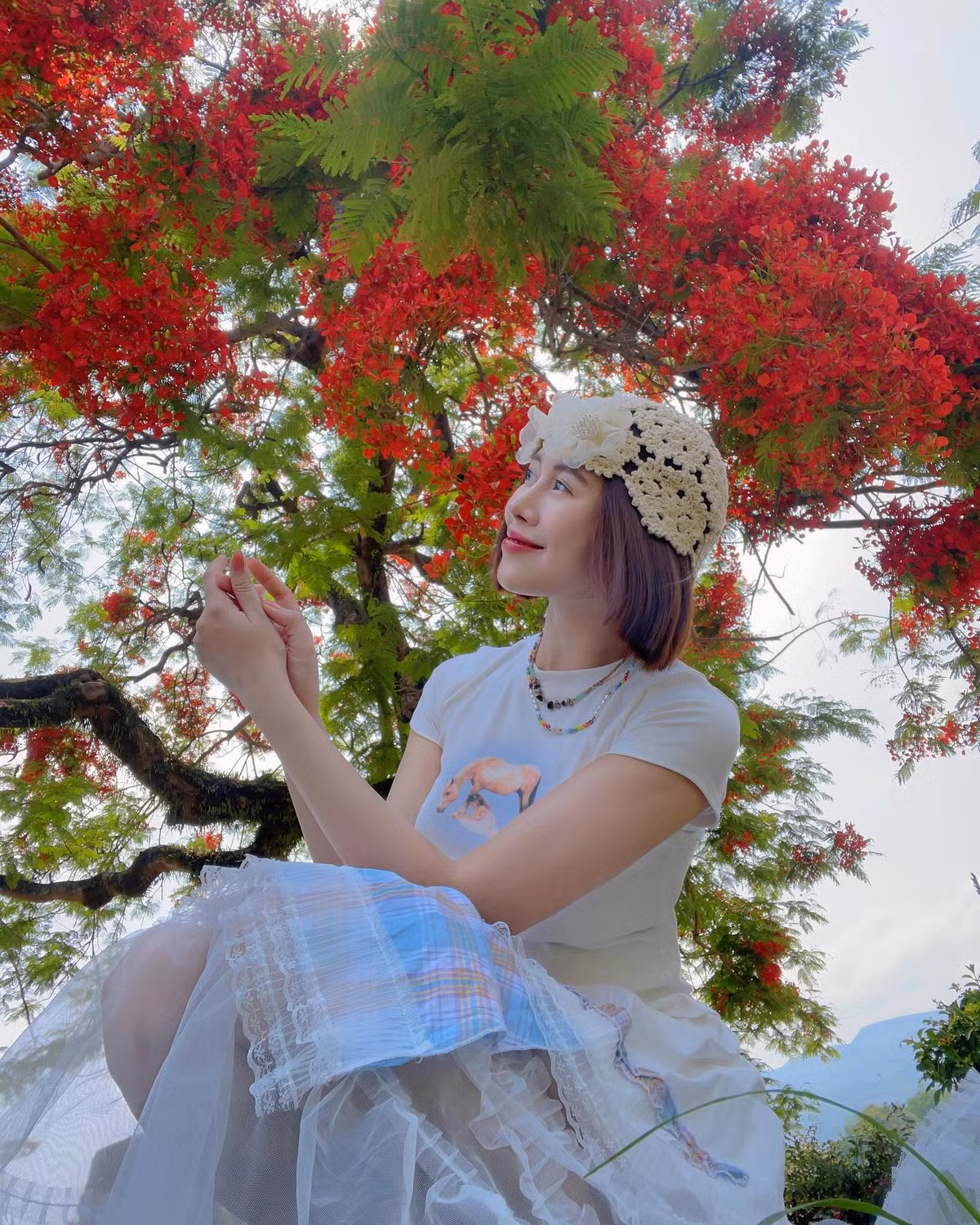 Hướng tới tháng 5 đầy hào hùng với chiến dịch Điện Biên Phủ “lừng lẫy năm châu, chấn động địa cầu” cách đây 71 năm, mới đây Tiktoker Việt Phương Thoa đã có mặt ở đồi A1 - chứng tích của lịch sử và chụp ảnh với những cây phượng rực rỡ nơi đây.