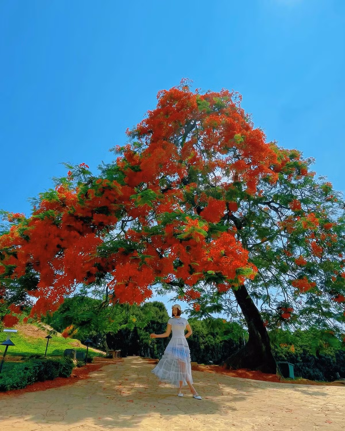 Việc lựa chọn bối cảnh đồi A1 - nơi ghi dấu những trang sử hào hùng của Việt Phương Thoa không chỉ là một chuyến đi chụp ảnh đơn thuần, mà còn là lời gợi nhắc nhẹ nhàng về lịch sử giữa sắc màu rực rỡ của hiện tại.